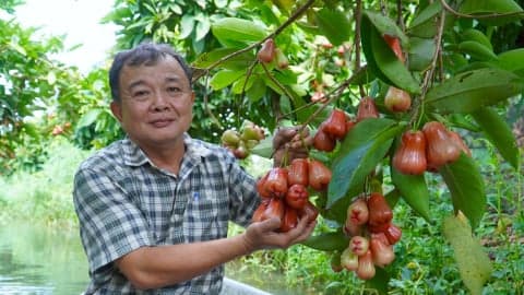 Growing interest in organic coffee in Europe