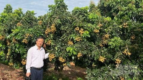 Factors to review when purchasing coffee