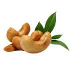Cashew Nuts