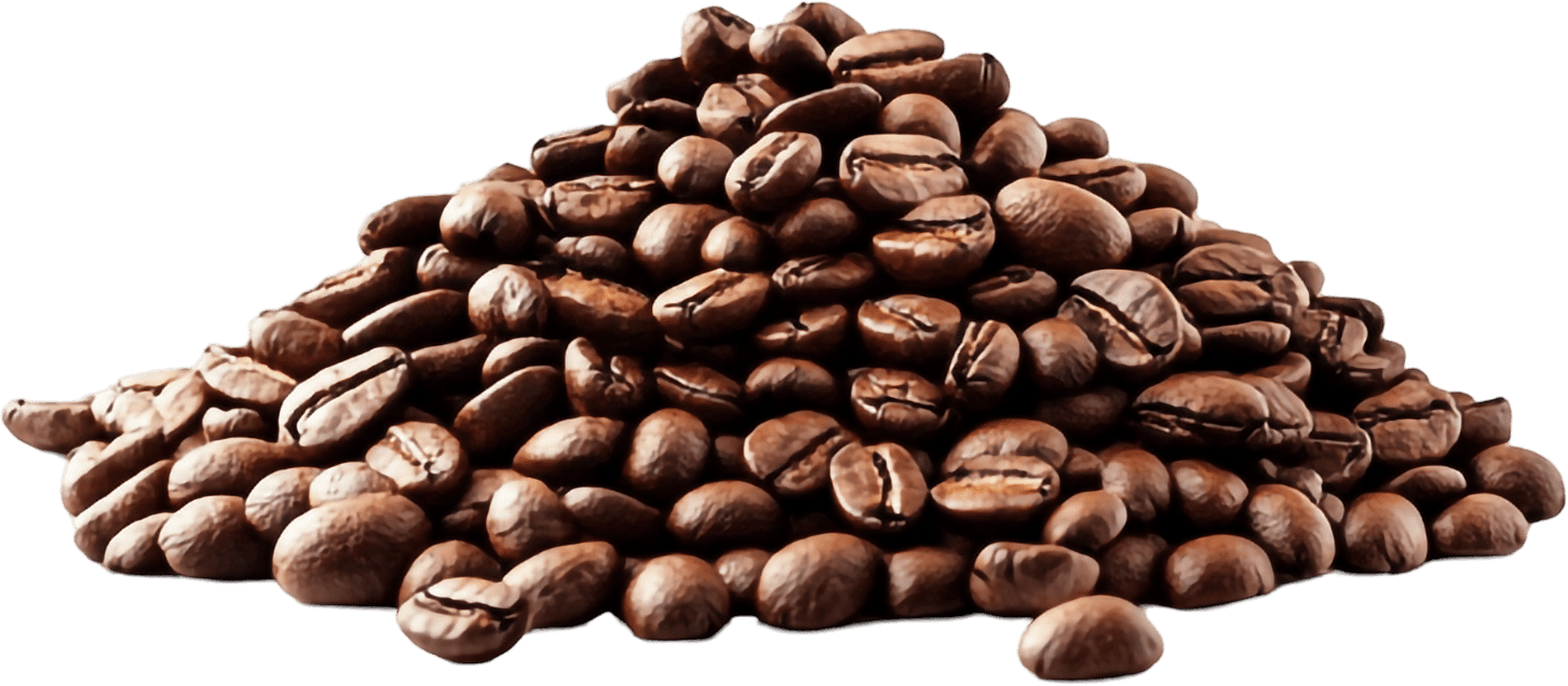 High-quality Robusta and Arabica coffee beans