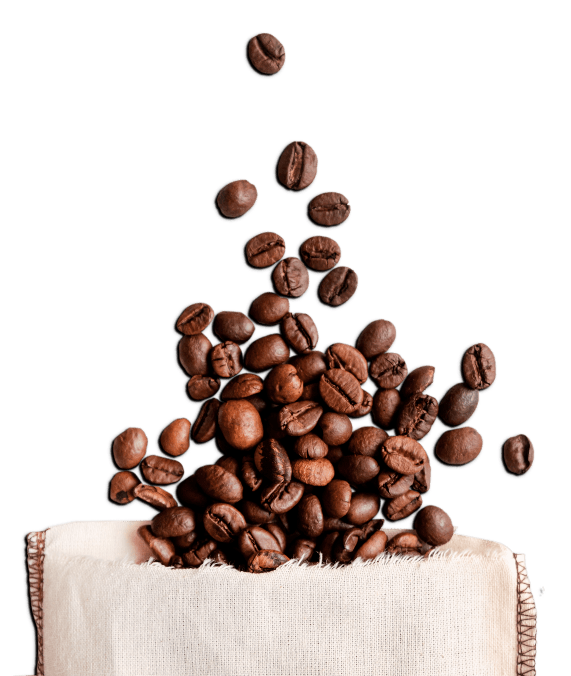 Coffee processing equipment