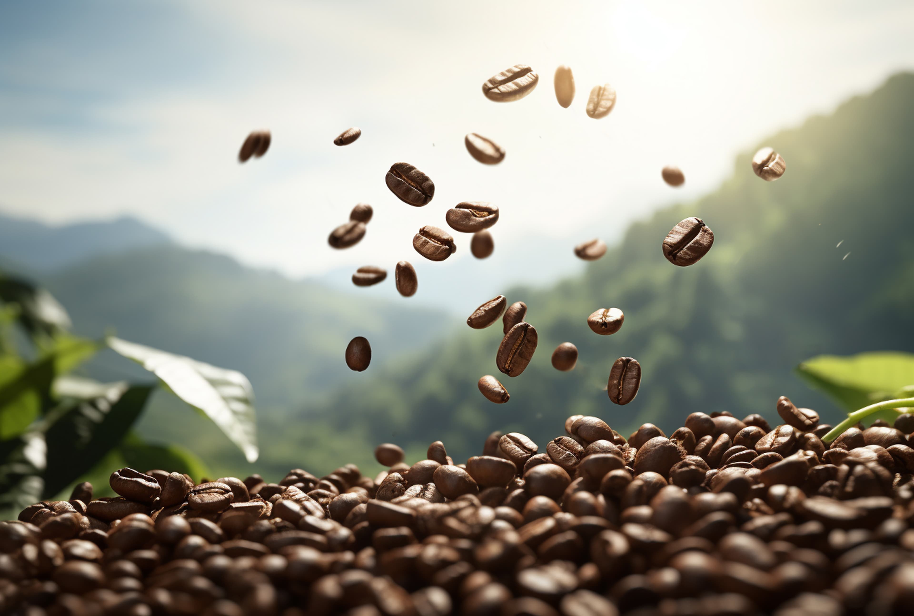 Coffee