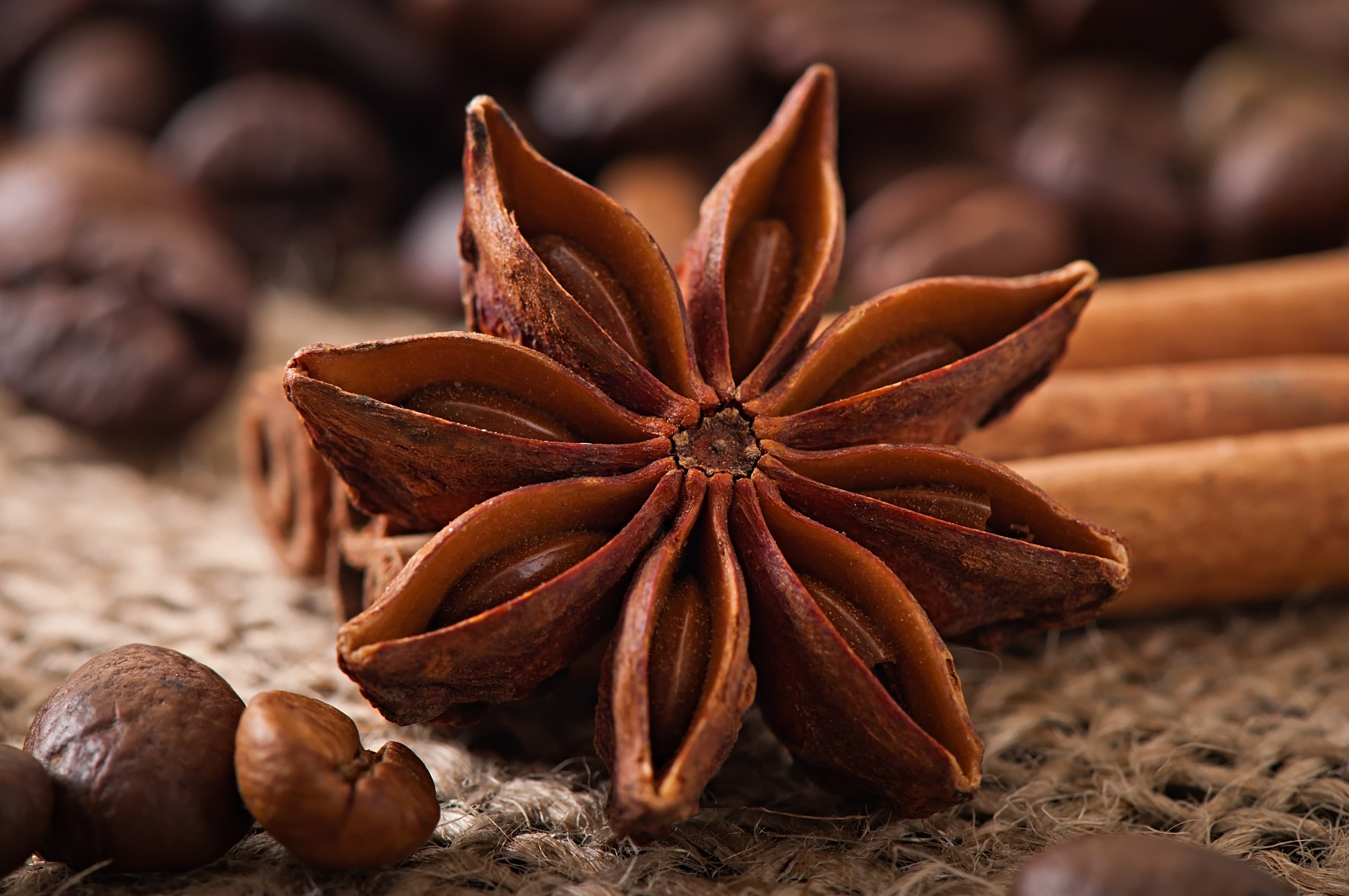 Star Anise