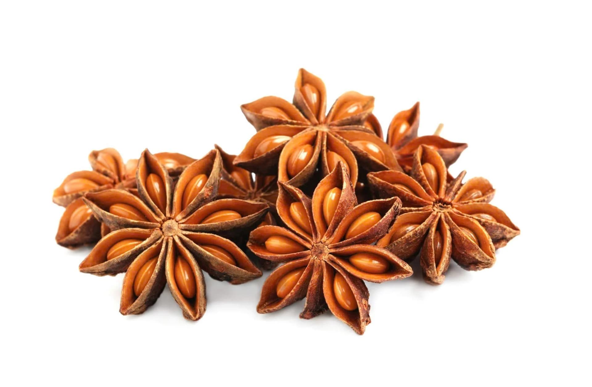 Star anise cultivation in Vietnam's northern mountainous regions