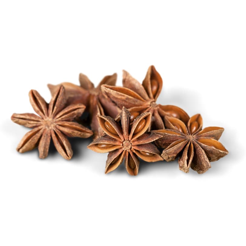 Star anise harvesting and processing at Tan Tai Company